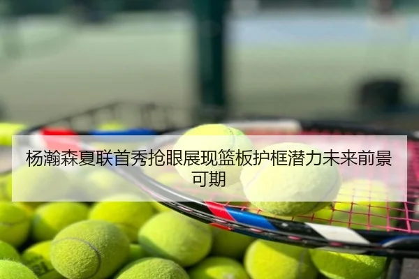 杨瀚森夏联首秀抢眼展现篮板护框潜力未来前景可期