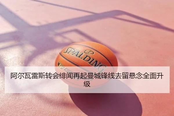 阿尔瓦雷斯转会绯闻再起曼城锋线去留悬念全面升级